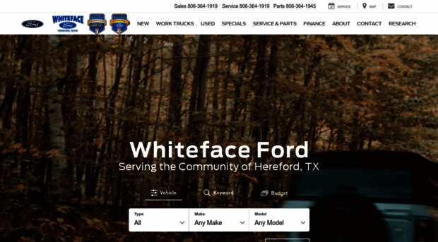 whiteface-ford.com