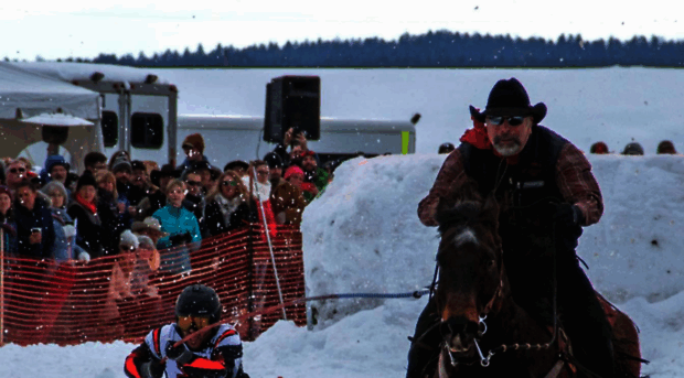 whitefishskijoring.com