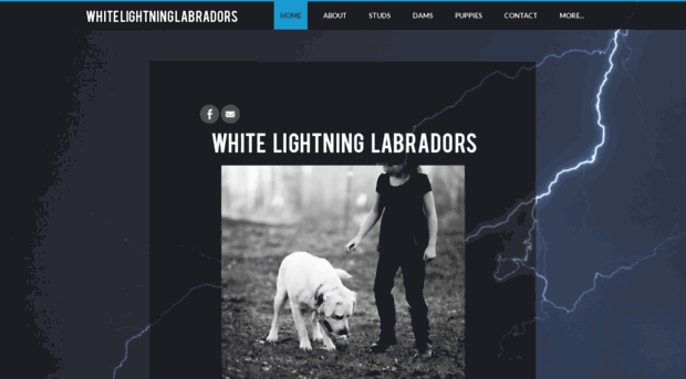 whitelightninglabs.weebly.com