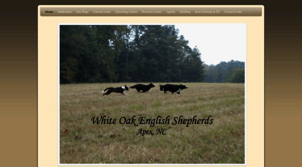 whiteoakenglishshepherds.com