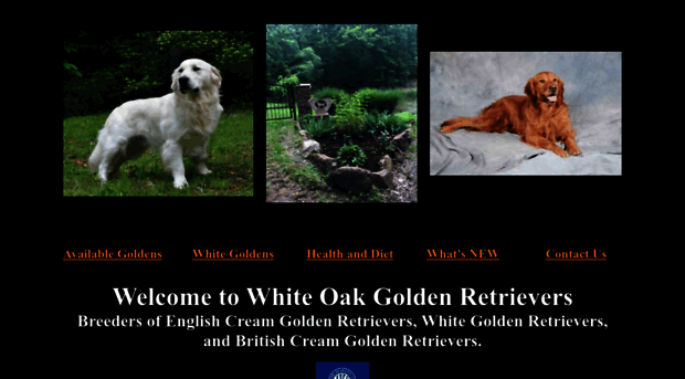 whiteoakgoldenretrievers.com