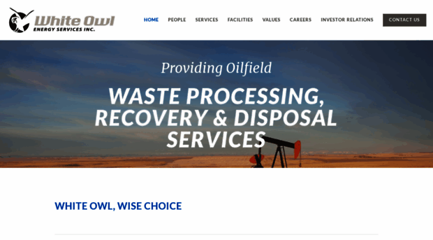 whiteowl-services.com