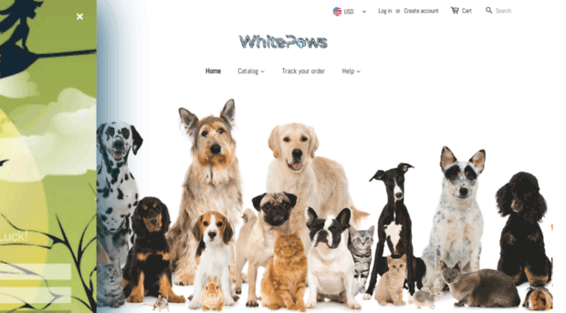 whitepaws.co