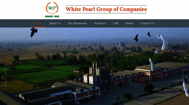 whitepearlgroup.com