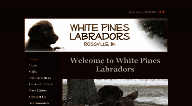 whitepineslabs.com