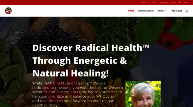 whiterabbitinstituteofhealing.com