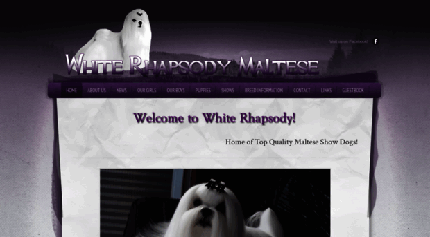 whiterhapsodymaltese.weebly.com