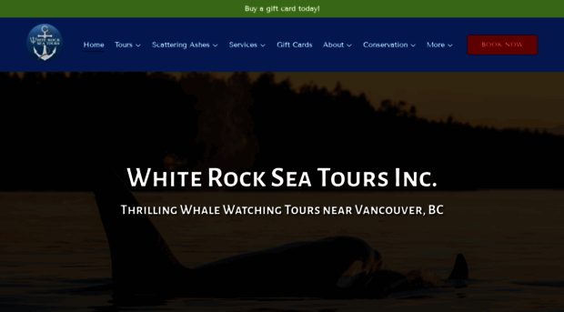 whiterockseatours.com