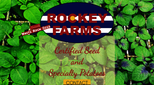 whiterockseed.com