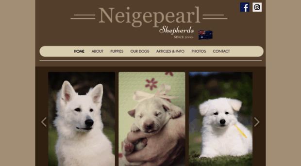 whiteshepherd.com.au