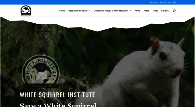 whitesquirrelinstitute.org