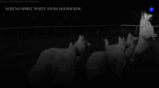 whiteswissshepherds.co.uk