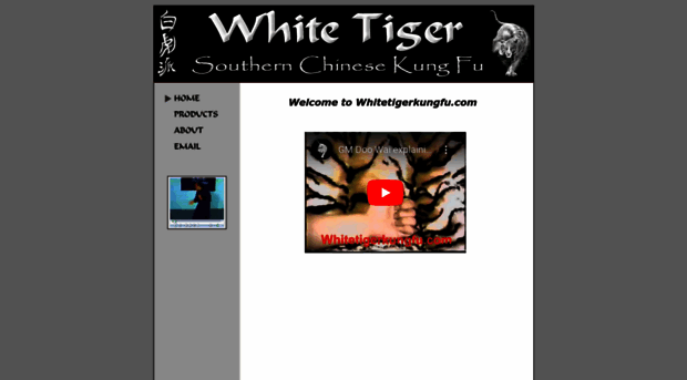 whitetigerkungfu.com