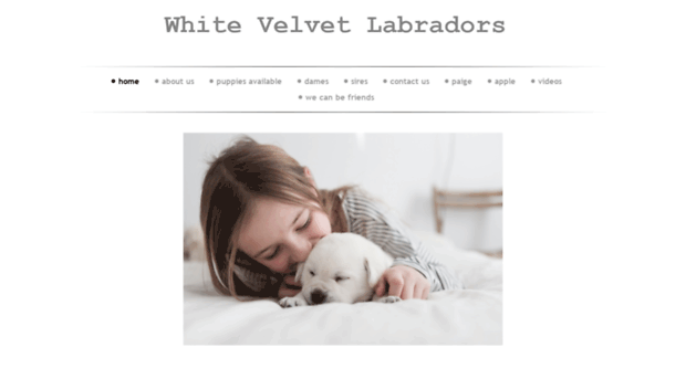 whitevelvetlabradors.com