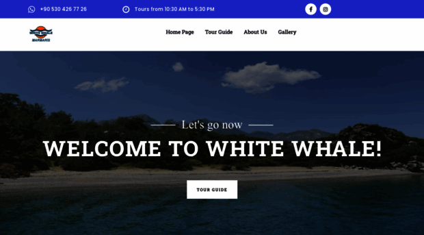 whitewhale1.com