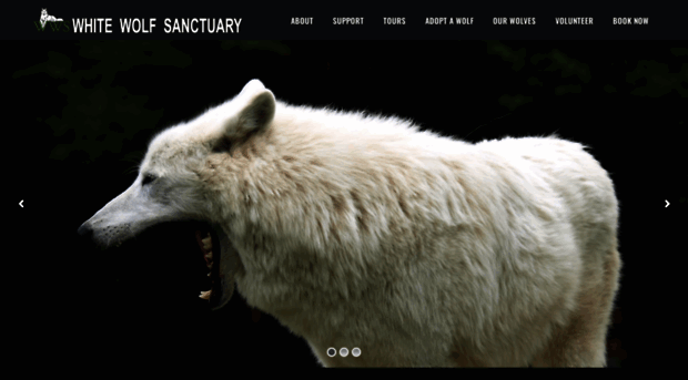 whitewolfsanctuary.com