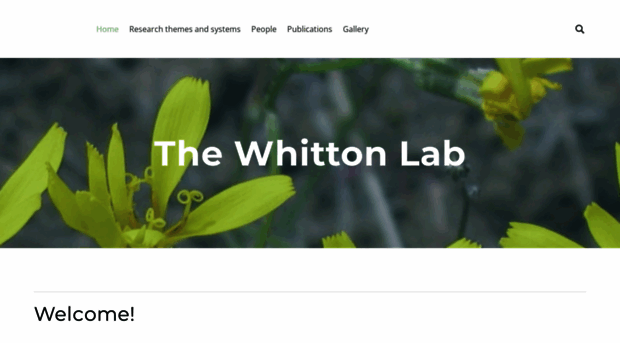 whittonlab.weebly.com