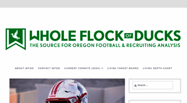 wholeflockofducks.com