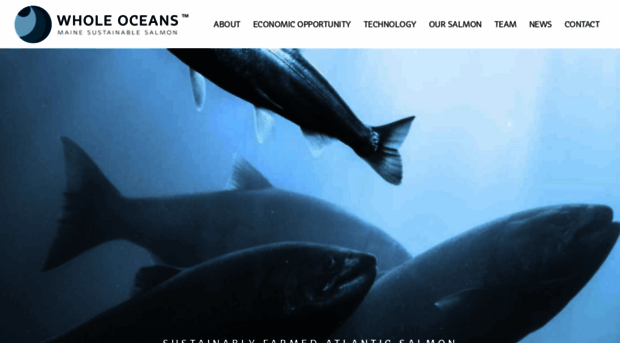 wholeoceans.com