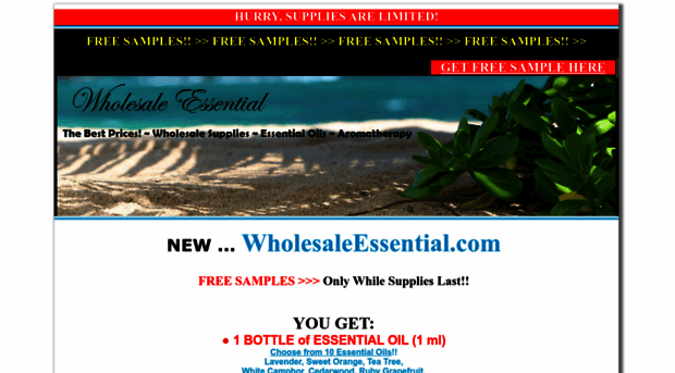 wholesaleessential.com