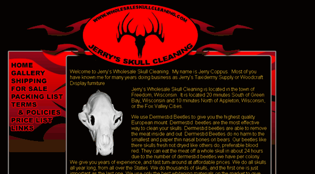 wholesaleskullcleaning.com