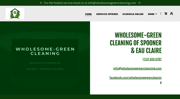 wholesomegreencleaning.com