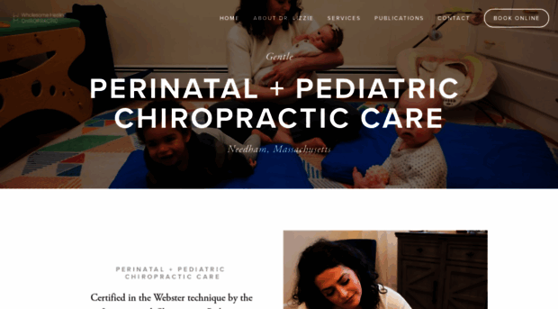 wholesomehealingchiro.com