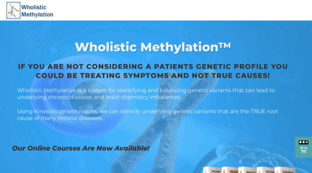 wholisticmethylation.com