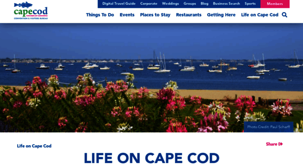 whycapecod.org