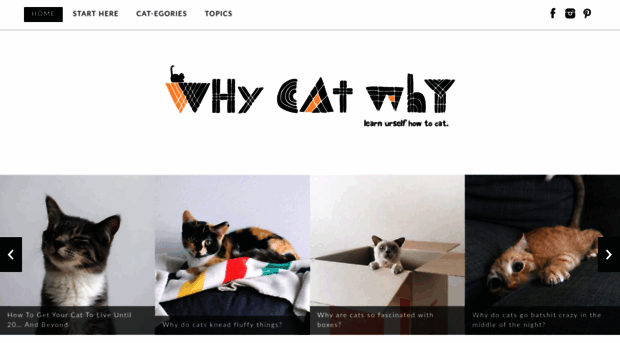 whycatwhy.com