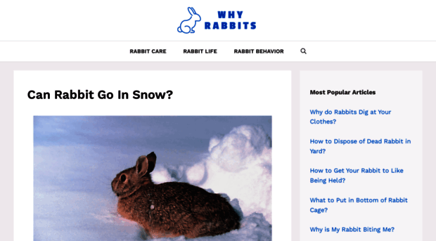 whyrabbits.com