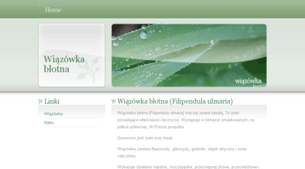 wiazowka.pl