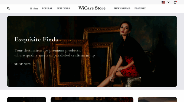 wicarestore.com