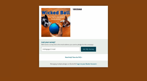 wicked-ball.backerkit.com