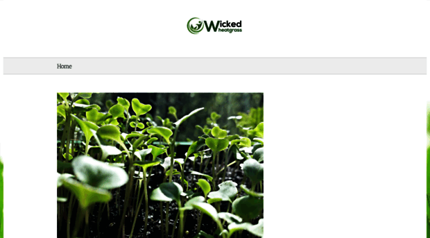 wickedwheatgrass.com