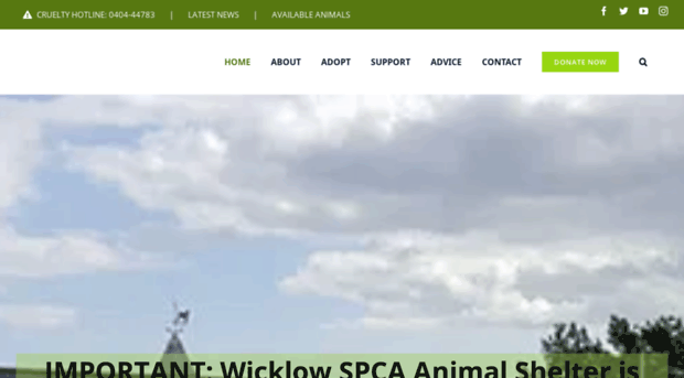 wicklowspca.org