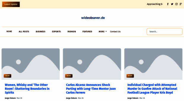 wideobserver.de