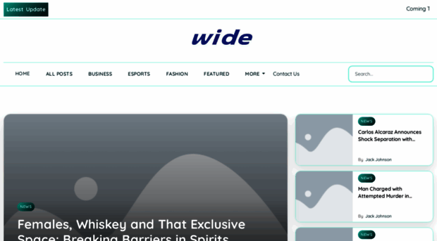 widesystems.de