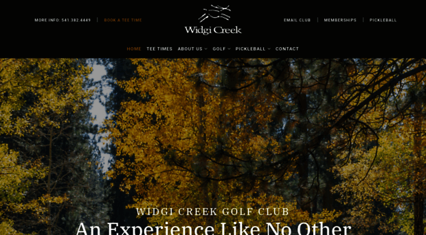 widgi.com