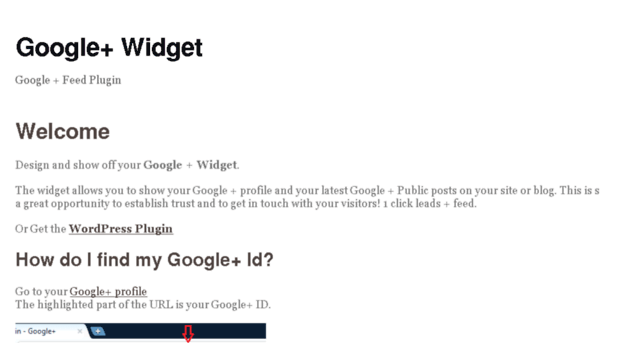 widgplus.com