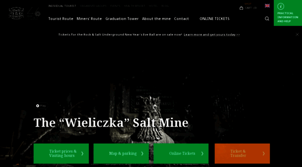 wieliczka-saltmine.com