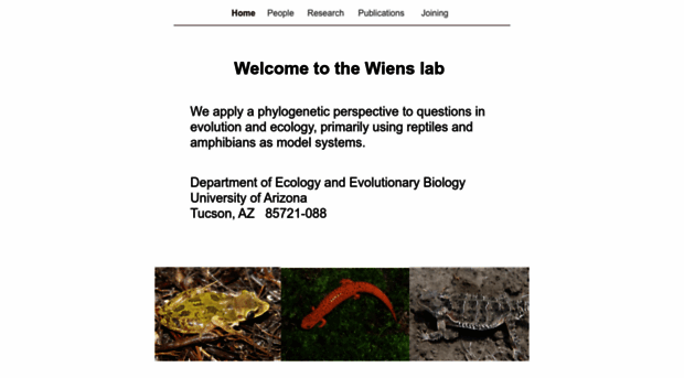 wienslab.com