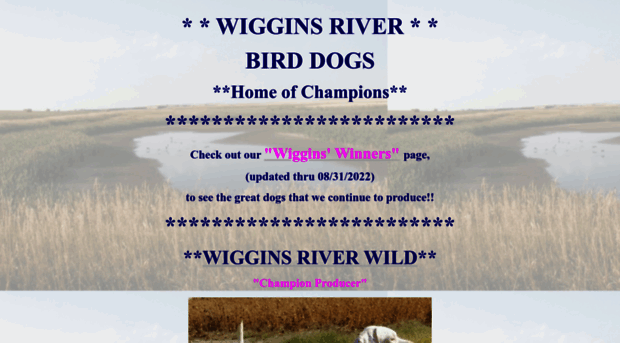 wigginsriver.com