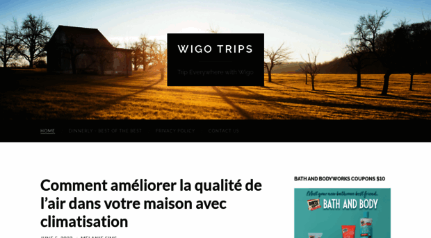 wigotrips.com