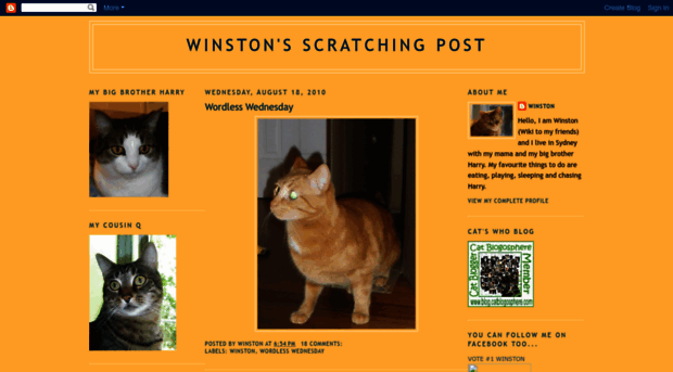 wiki-winston.blogspot.com