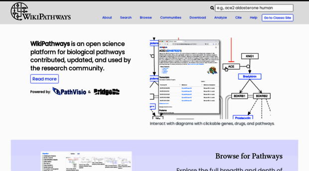 wikipathways.com