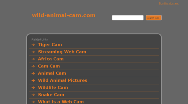 wild-animal-cam.com