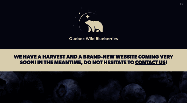 wild-blueberries.com