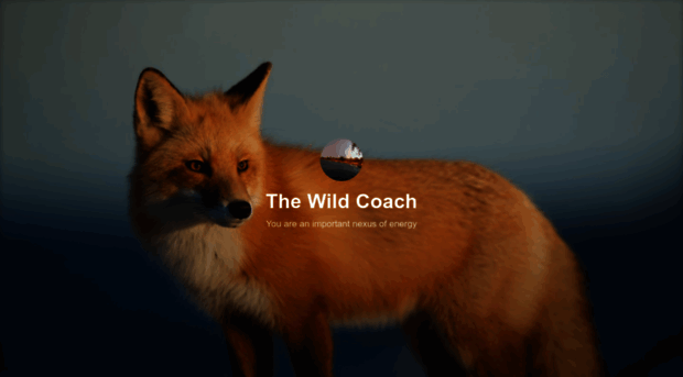 wild-coach.com