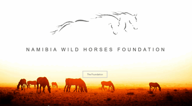 wild-horses-namibia.com